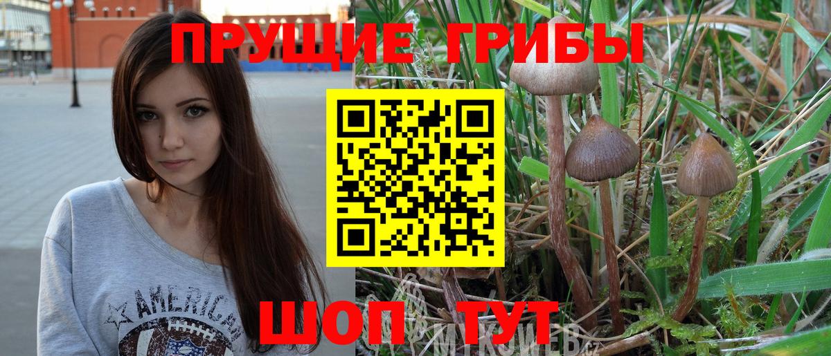 Сланцы  АМФ   Cocaine  ГАШИШ  Вход с VPN  Меф МЯУ МЯУ   НБОМе  Конопля  Бошки Шишки  МЕТ 