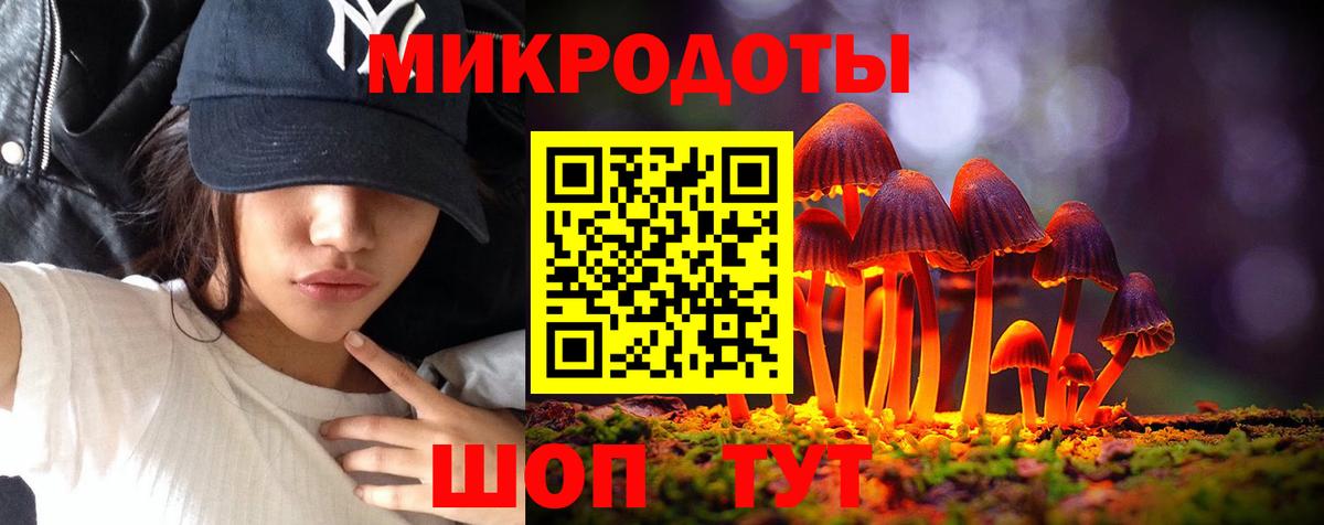 Сланцы  Галлюциногенные грибы мухоморы  Псилоцибиновые грибы Cubensis  Вход с VPN 